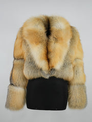 Golden Island Bolero